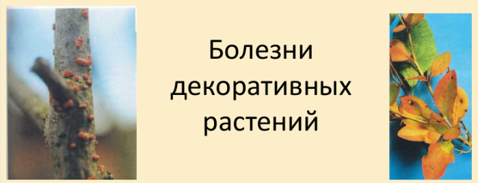 1709145981765.png