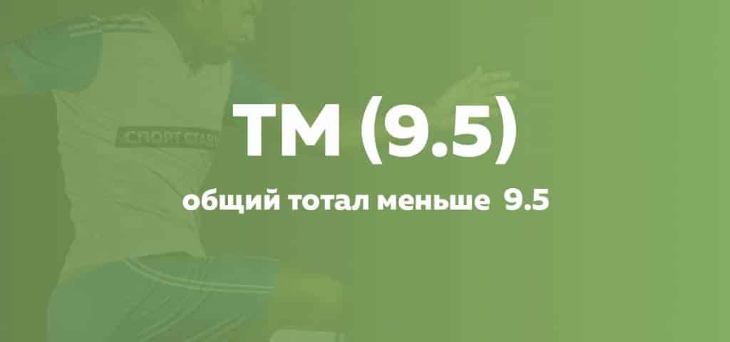 TM-9.5.jpg
